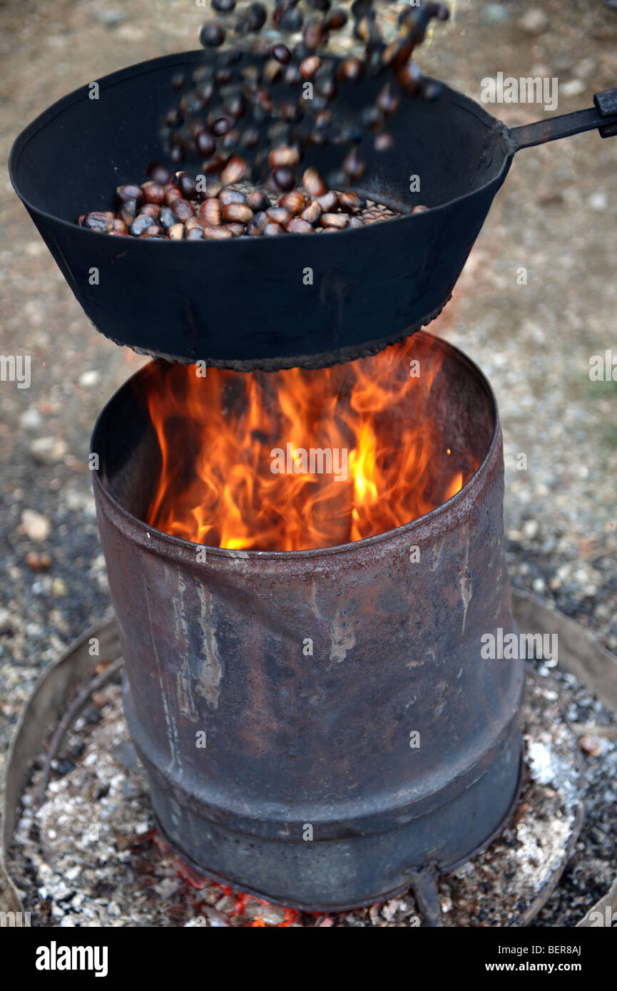 Châtaignes fraîches biologiques rôties en cours (Castanea sativa) Banque D'Images
