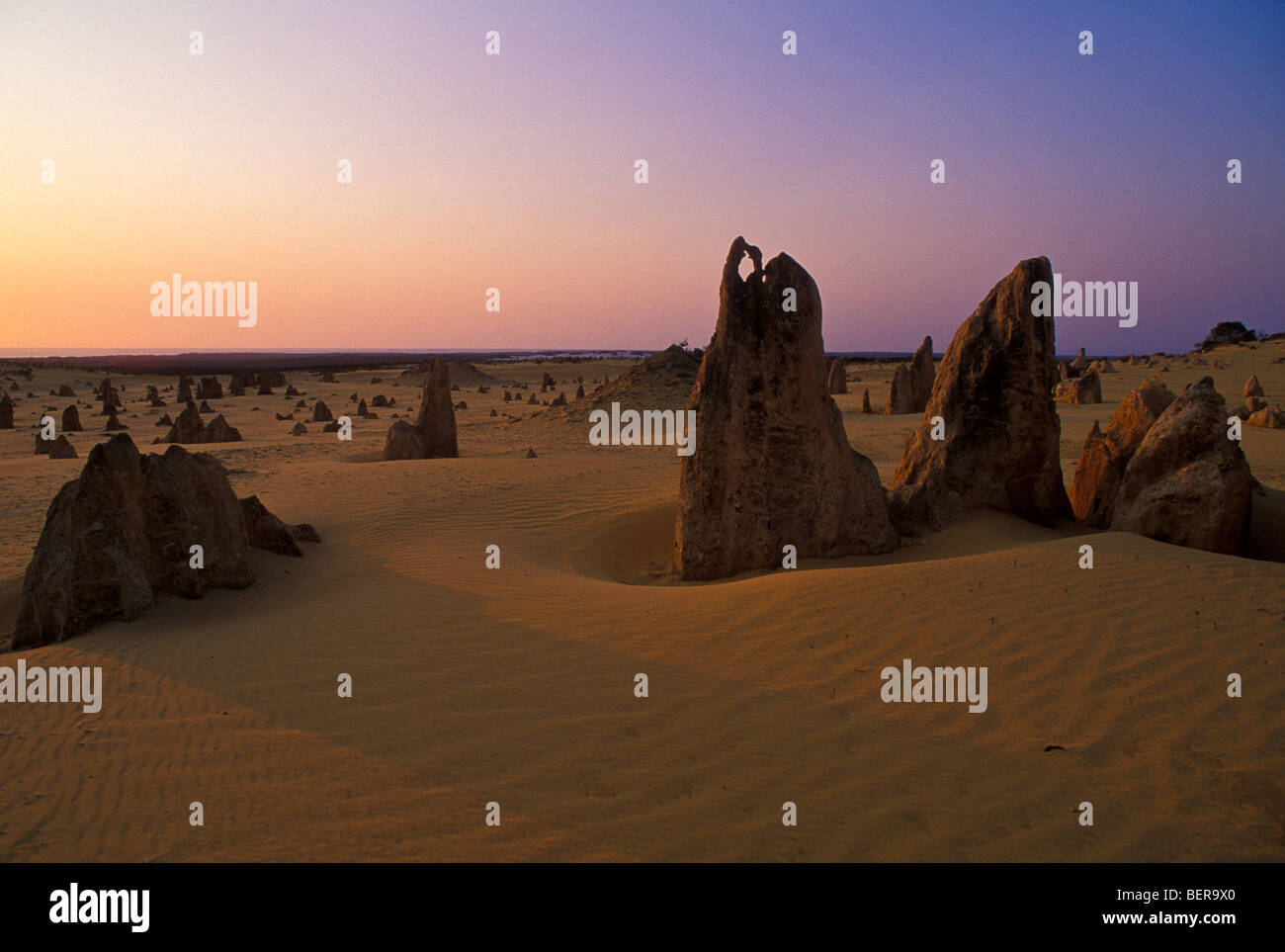 Les Pinnacles, le Parc National de Nambung, Australie occidentale Banque D'Images