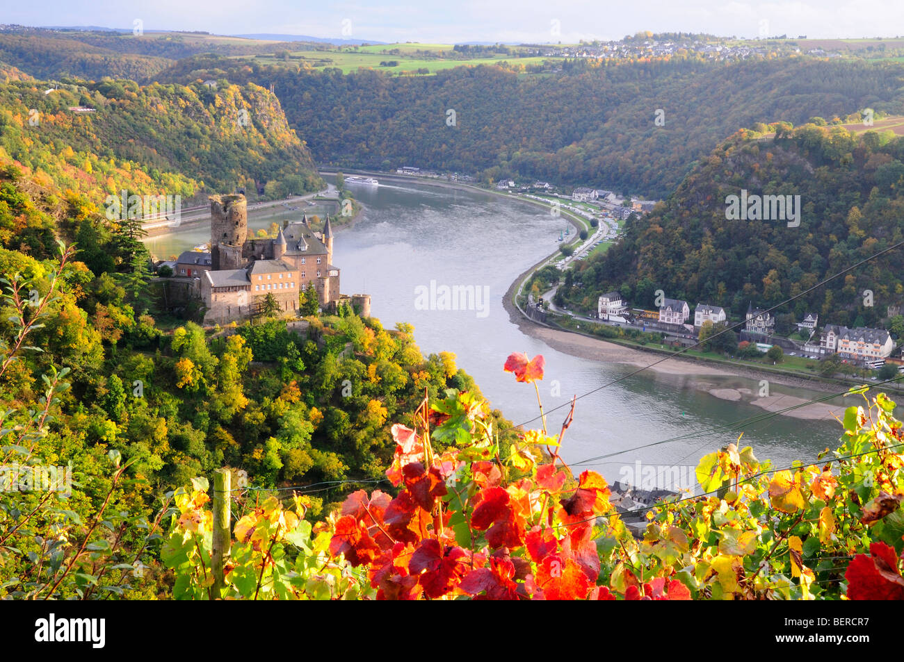 Château Katz, vignoble en Vallée du Rhin, Allemagne Banque D'Images