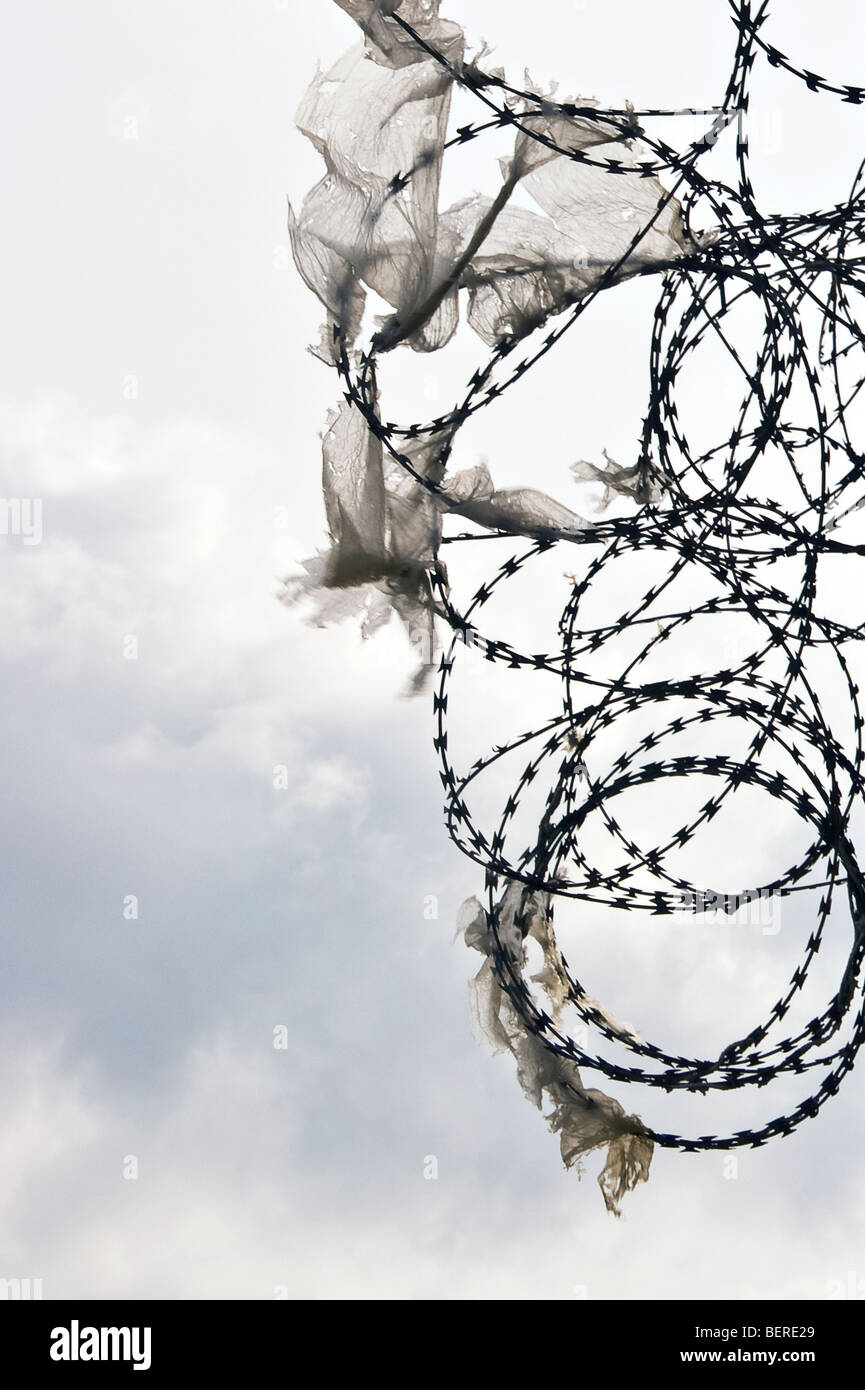 Barbelés/barbelés closeup Banque D'Images