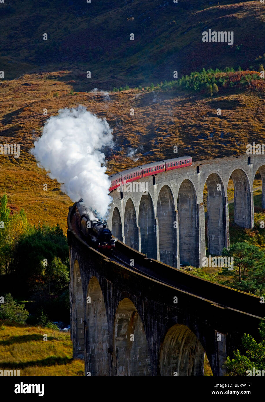 Passage du Train à vapeur jacobite, viaduc de Glenfinnan, Lochaber, Écosse, Royaume-Uni, Europe Banque D'Images