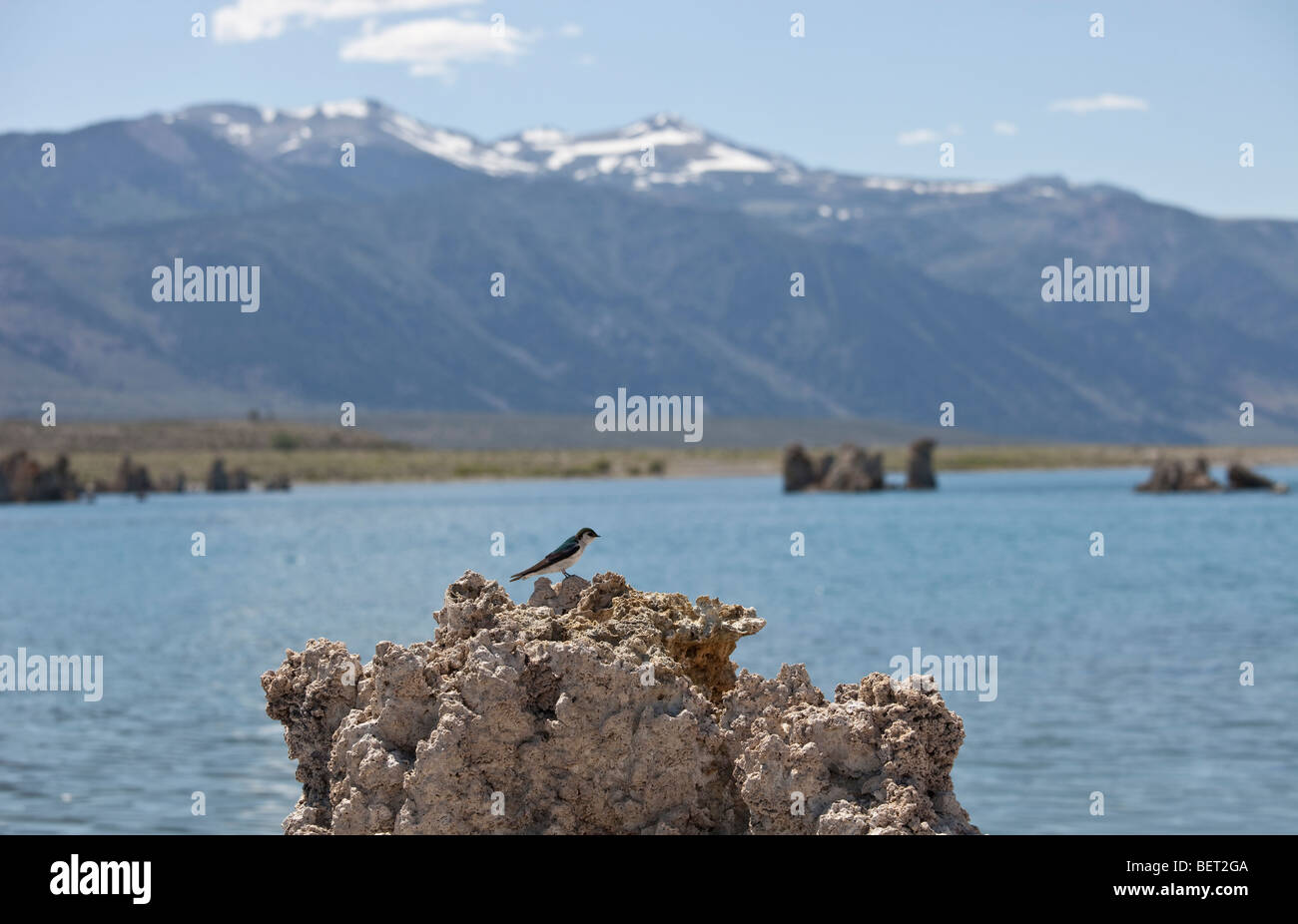 Au sud, le lac Mono tuf tuf State Reserve. Près de Lee Vining, Mono Co., Californie Banque D'Images