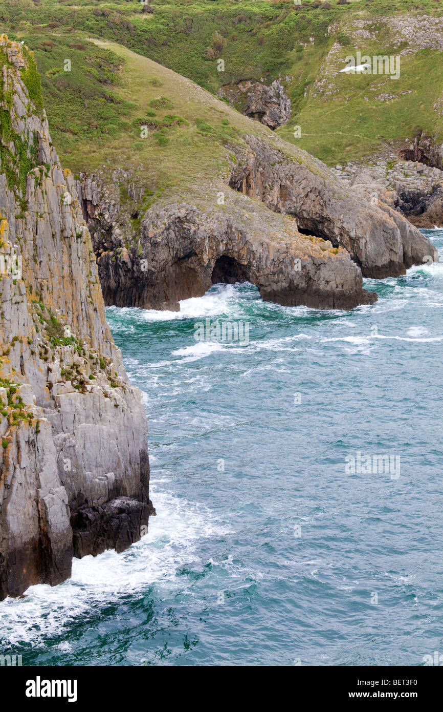 Le parc national Pembrokeshire Coast à Skrinkle Haven, Pembrokeshire, Pays de Galles Banque D'Images