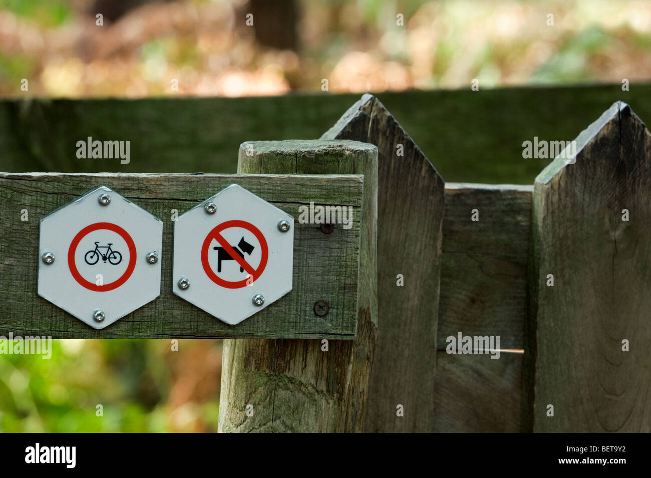 Les panneaux d'interdiction sur la barrière en bois à l'entrée de la réserve naturelle d'interdire l'accès pour les chiens et les vélos Banque D'Images