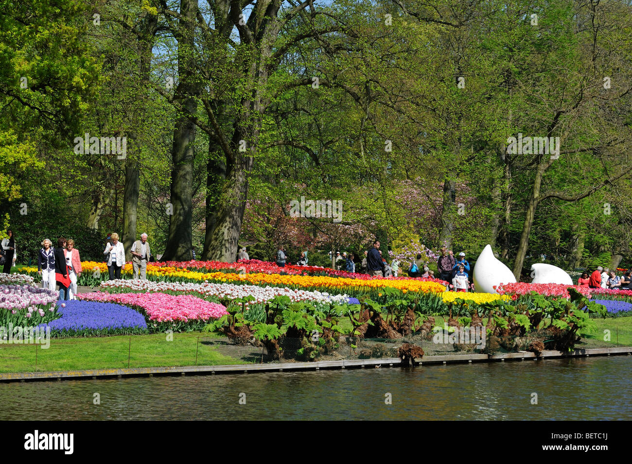 Les touristes marche chez les tulipes colorées, jacinthes et jonquilles en fleurs jardin de Keukenhof, lisse, la Hollande, les Pays-Bas Banque D'Images