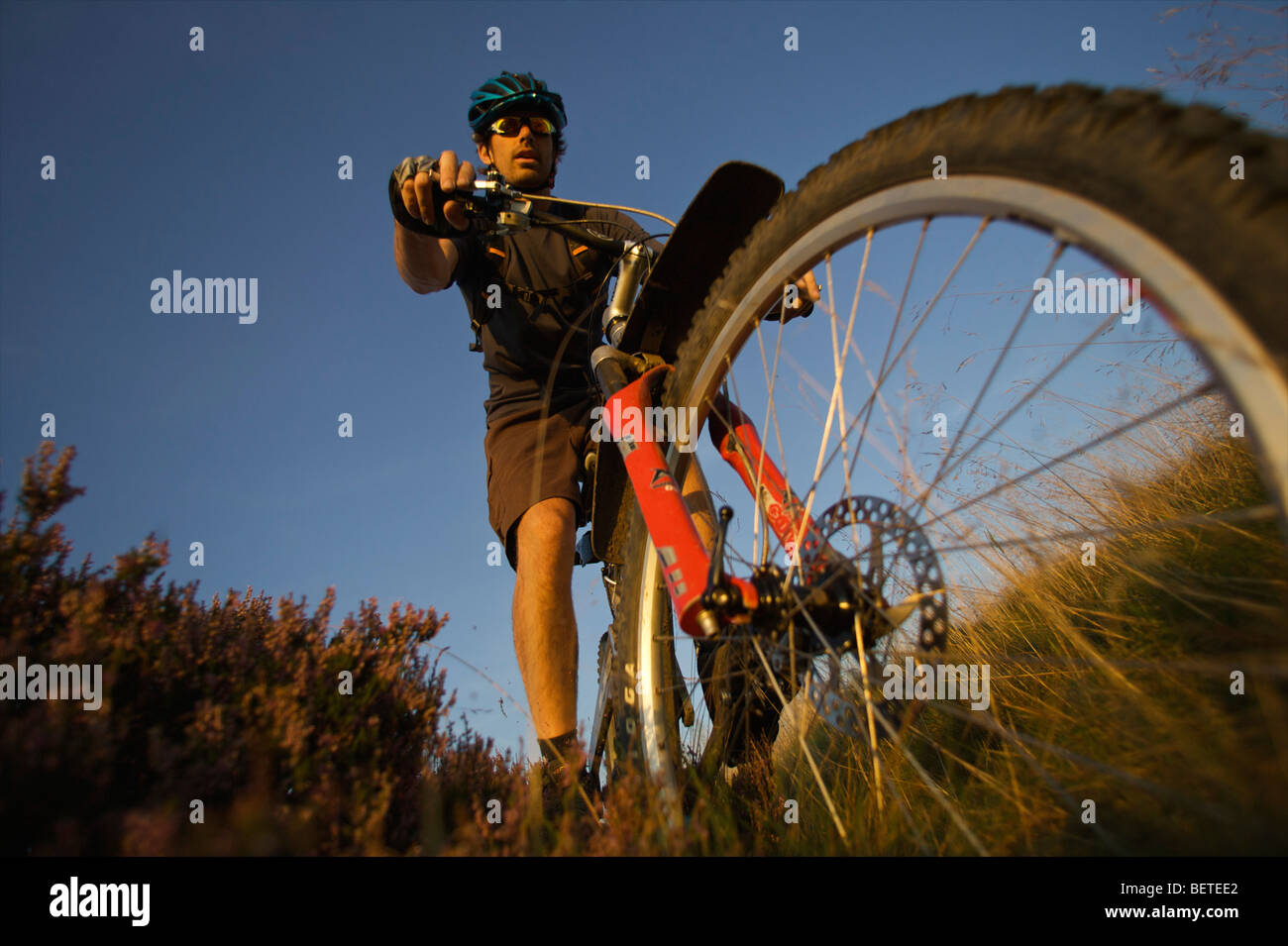 Vélo de montagne sur une piste d'équitation Banque D'Images