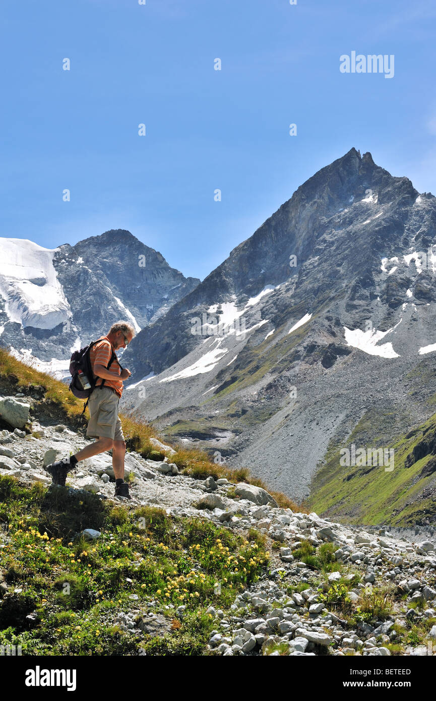 Walker / randonneur marchant en été le long chemin de montagne dans les Alpes Valaisannes Suisse / Walliser Alpen, Valais / Wallis (Suisse) Banque D'Images