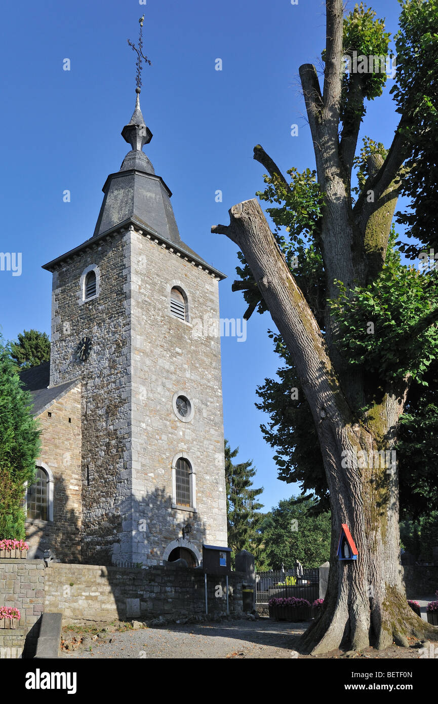 Église Saint Martin / église Saint-Martin à Crupet, Namur dans les Ardennes Belges, Belgique Banque D'Images