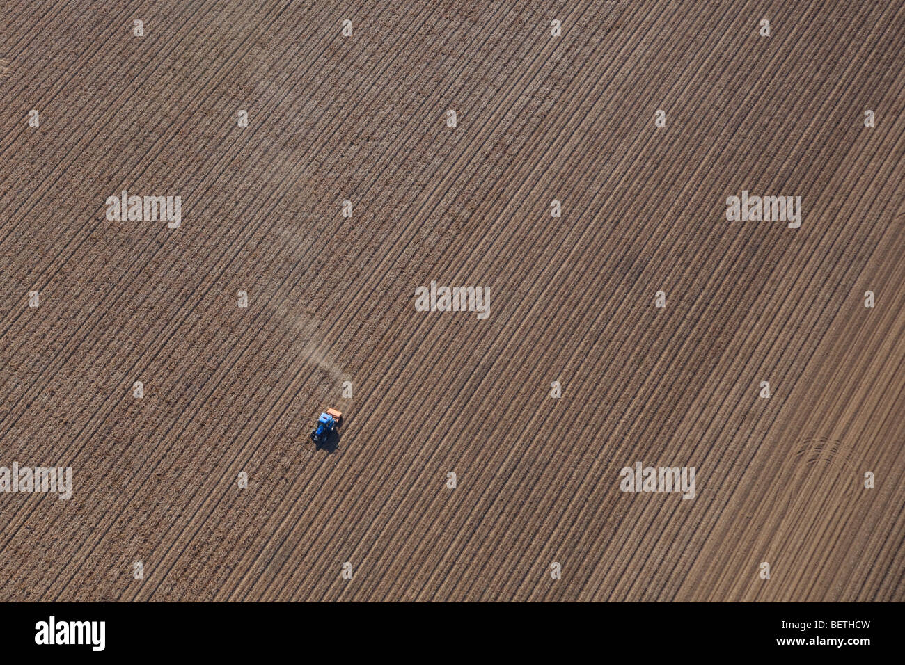 Le tracteur en champ de pommes de terre de l'air de Norfolk Banque D'Images