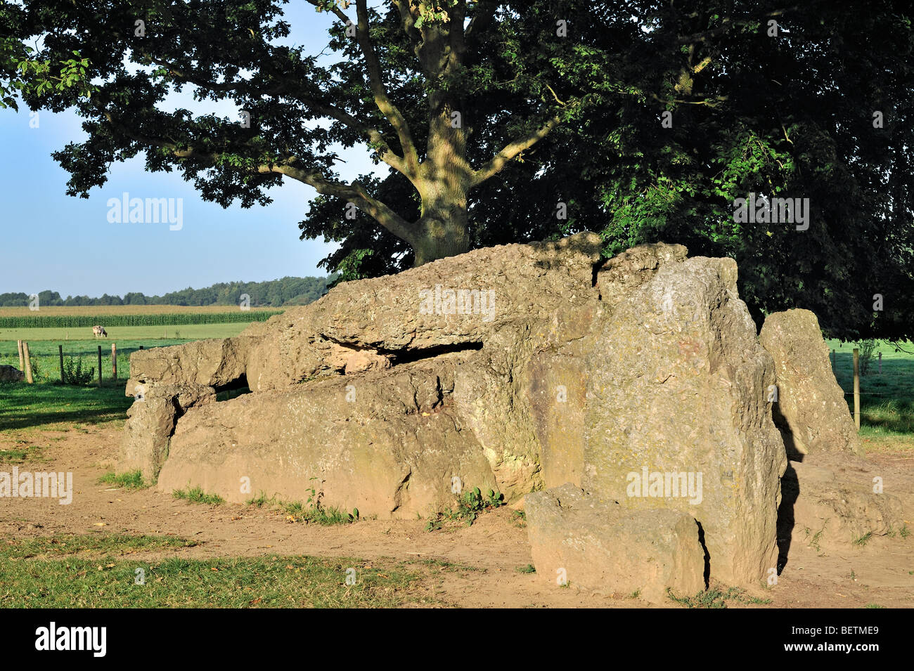 Grand mégalithique Dolmen de Wéris faite de roches conglomérées, Ardennes, Luxembourg, Belgique Banque D'Images