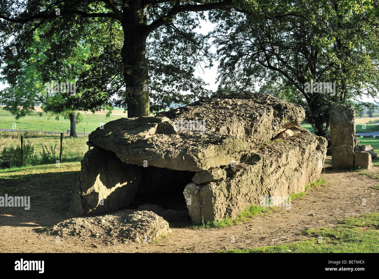 Grand mégalithique Dolmen de Wéris et menhir fait de roches conglomérées, Ardennes, Luxembourg, Belgique Banque D'Images