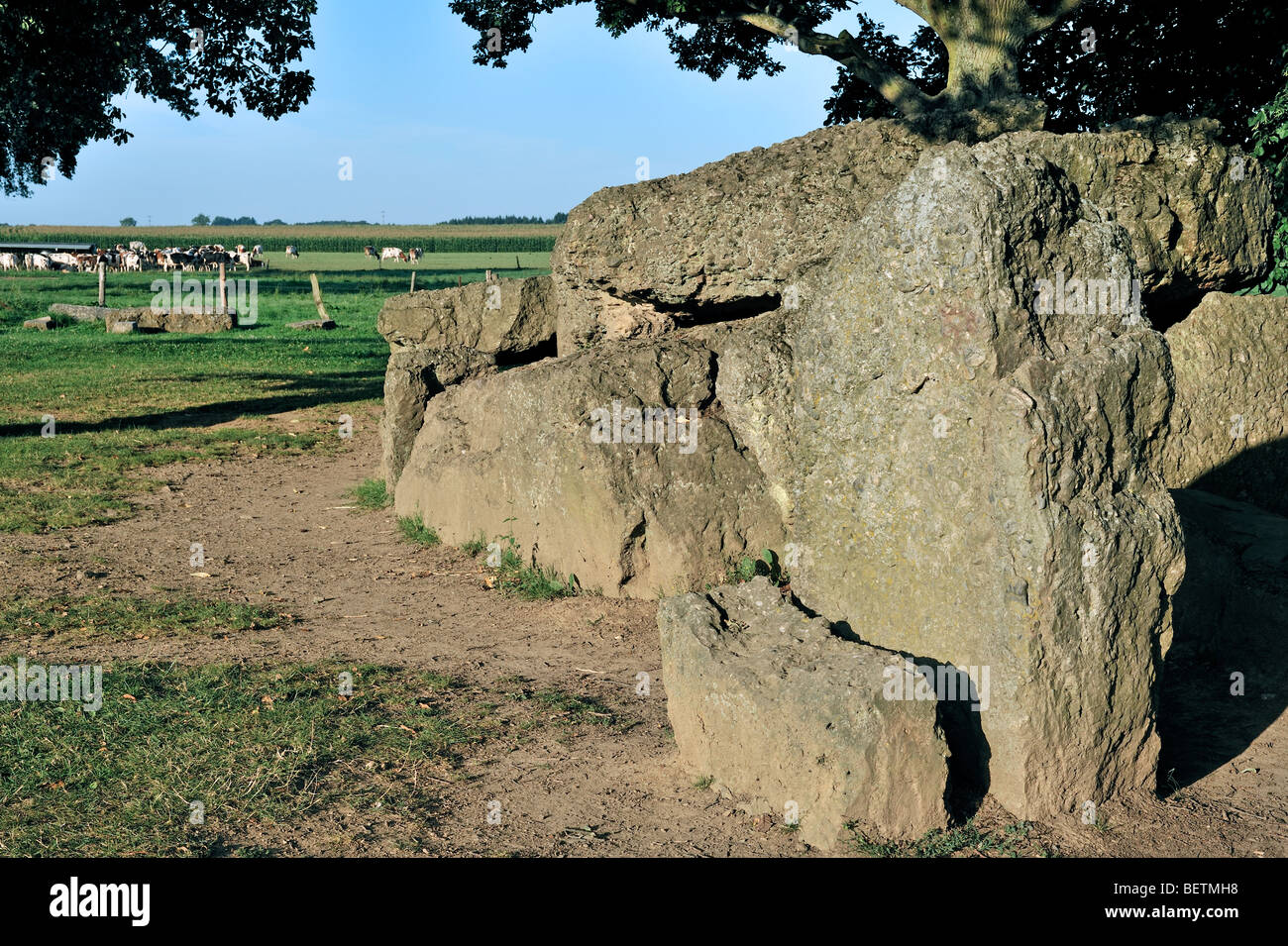 Grand mégalithique Dolmen de Wéris faite de roches conglomérées, Ardennes, Luxembourg, Belgique Banque D'Images