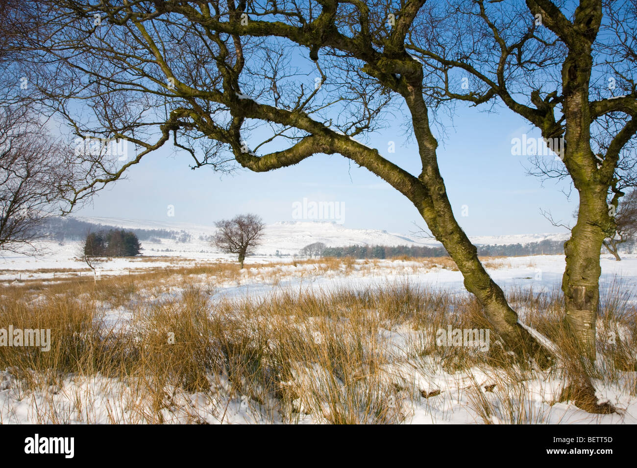 Vue sur Prairie Longshaw sous la neige avec Higger Tor et Carl Wark au loin. Banque D'Images