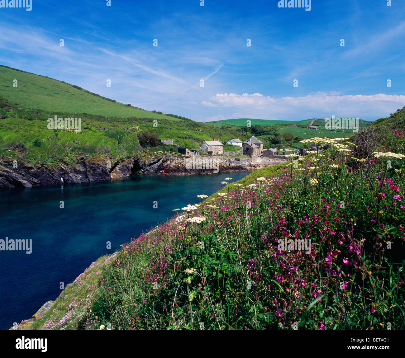 Le hameau de Port Quin, sur la côte nord de Cornwall, près de Port Isaac Cornwall, en Angleterre Banque D'Images