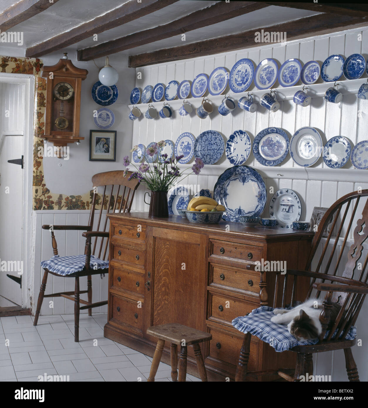 Chat sur chaise à côté placard ci-dessous collecte d'assiettes en porcelaine blanc +bleu sur des étagères en cottage salle à manger Banque D'Images