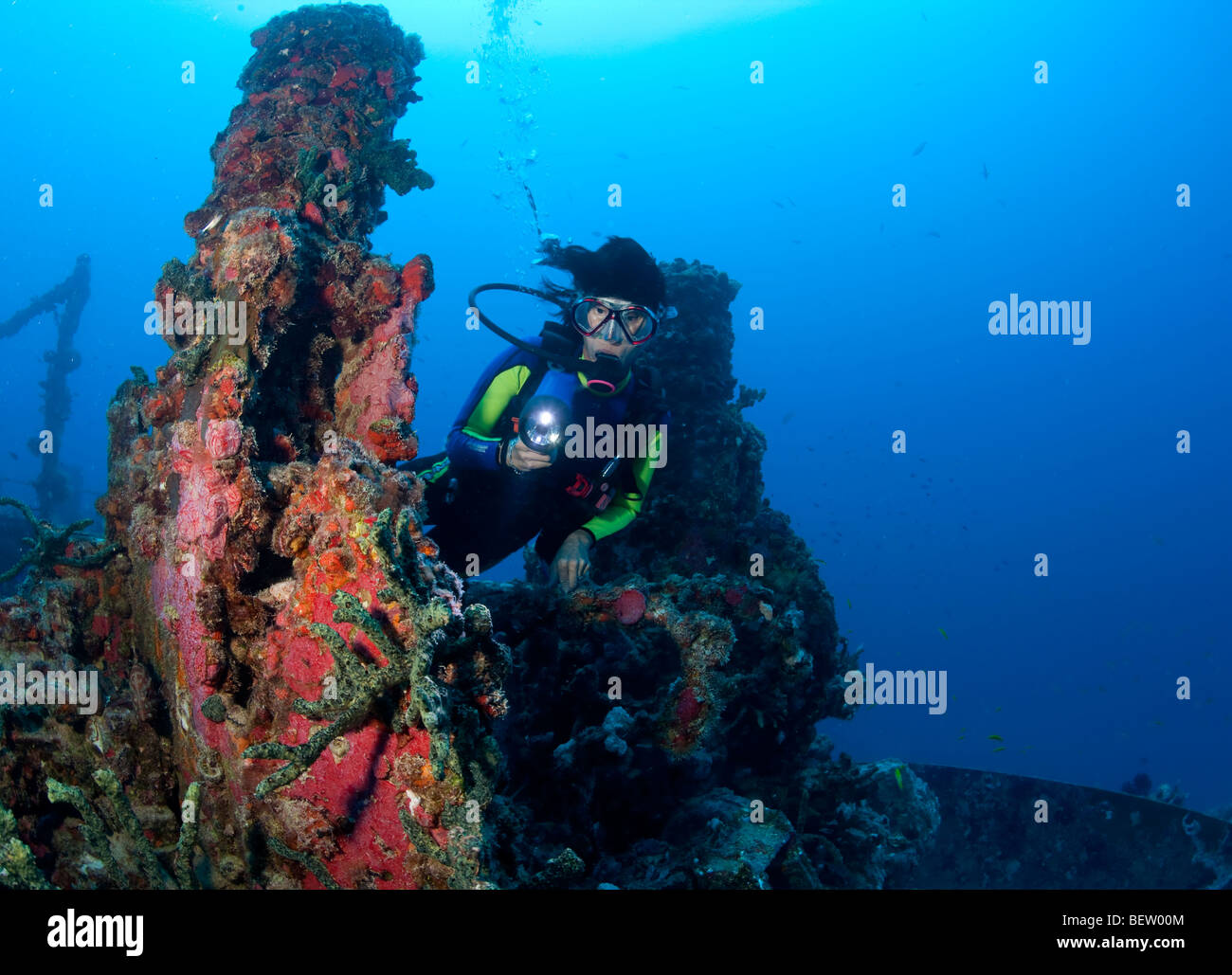 Plongée sous-marine sur épave Banque D'Images