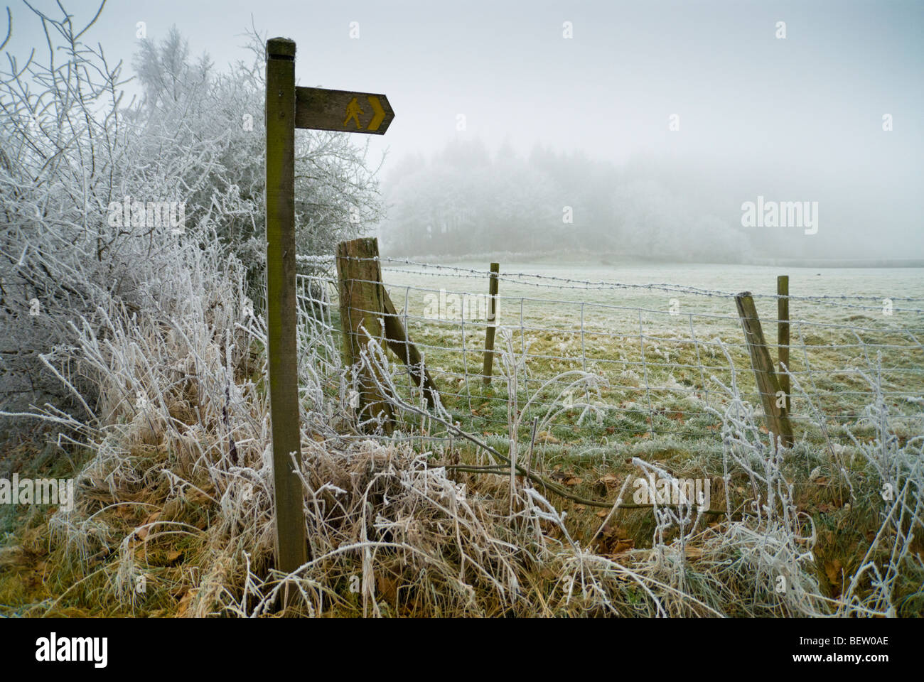 Panneau sentier par un champ d'hiver gallois Banque D'Images