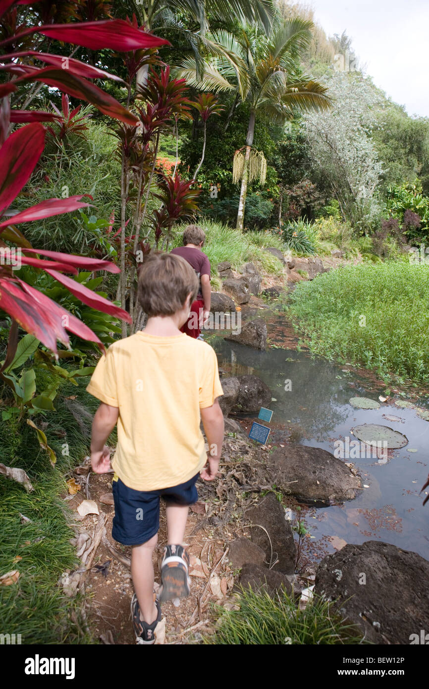 Waimea falls, Oahu, Hawaï, les enfants le long d'un sentier de randonnée en forêt tropicale humide, l'été Banque D'Images