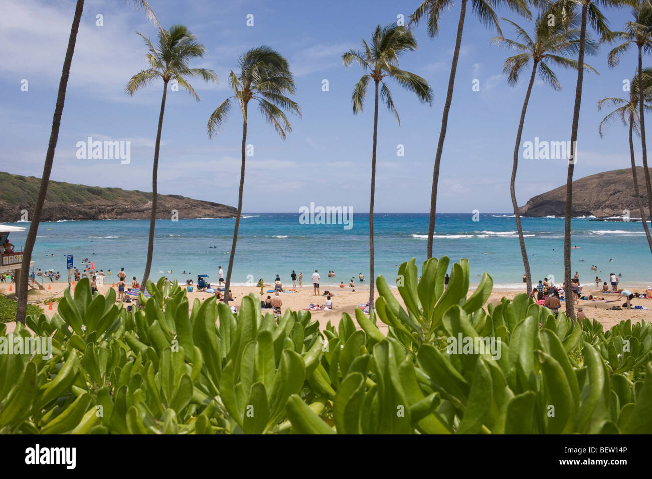 Vue sur la plage, Hanauma Bay Nature Preserve, Honolulu Hawaii Banque D'Images