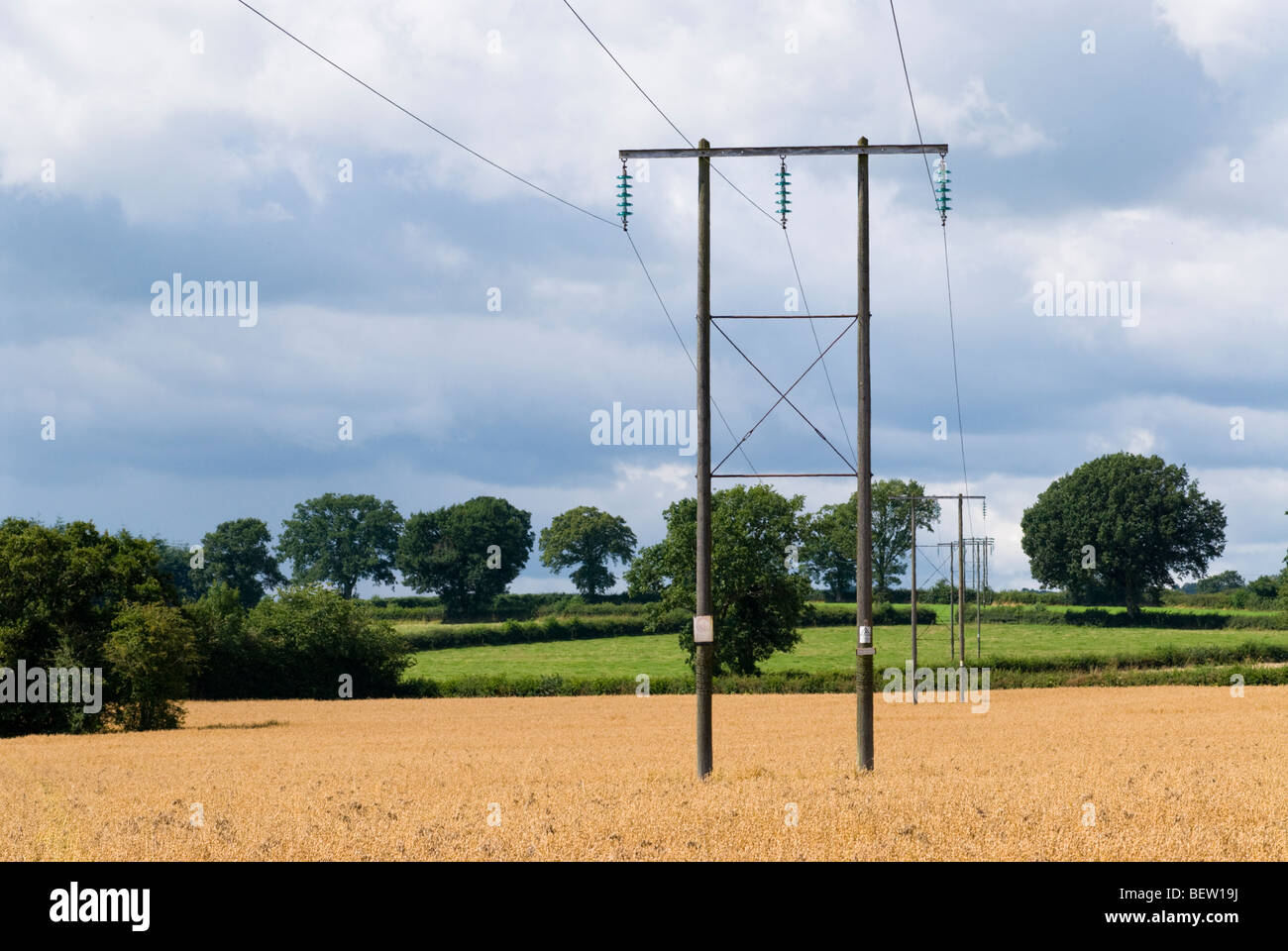 Pylône de l'électricité dans le Herefordshire cornfield Banque D'Images