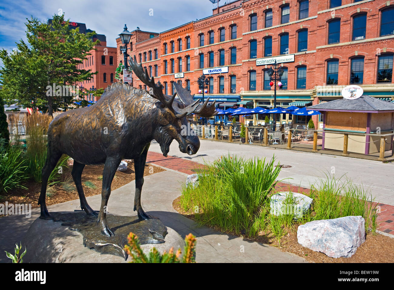 Statue d'un orignal dans le centre-ville de Saint John, la Route 1, route du littoral de Fundy, la baie de Fundy, Nouveau-Brunswick, Canada. Banque D'Images