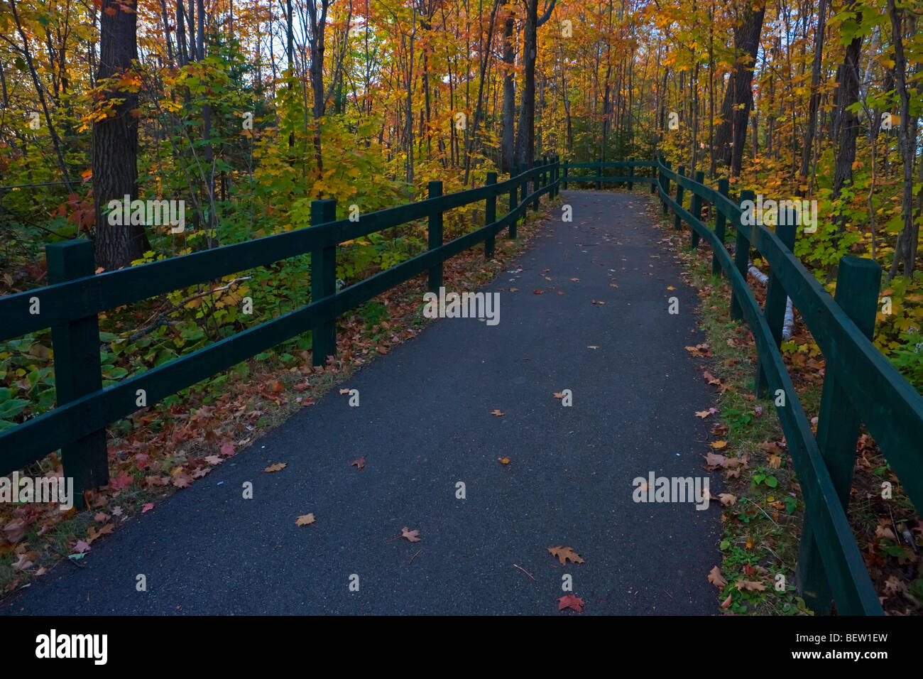 Sentier vers le belvédère sur le passage à l'automne dans le Parc National de la Mauricie, Mauricie, Québec, Canada. Banque D'Images