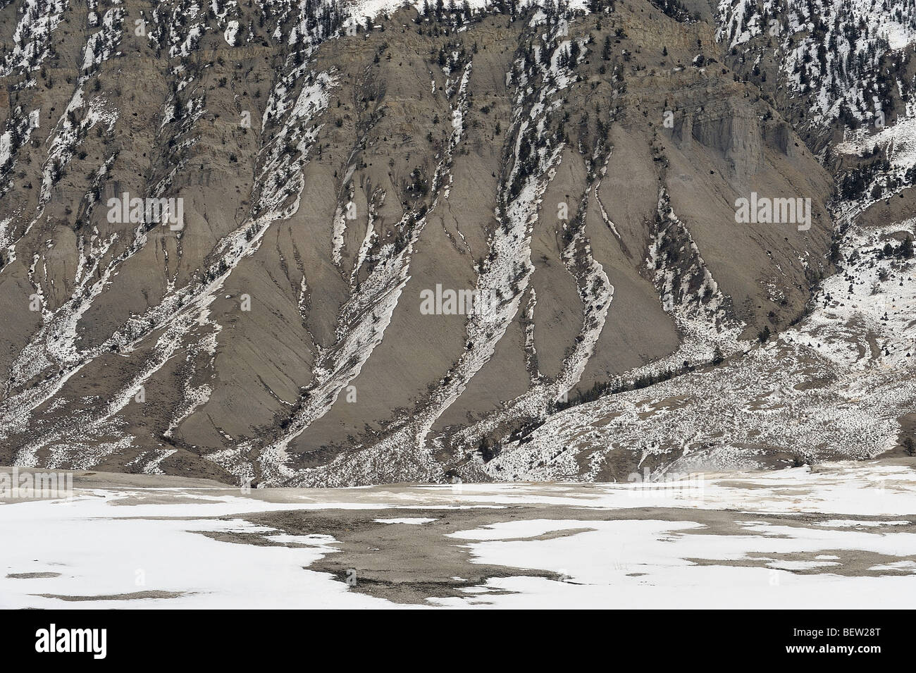 Les pentes de la vallée de la rivière Gardner Jupiter avec terrasses en premier plan, le Parc National de Yellowstone, Wyoming, USA Banque D'Images