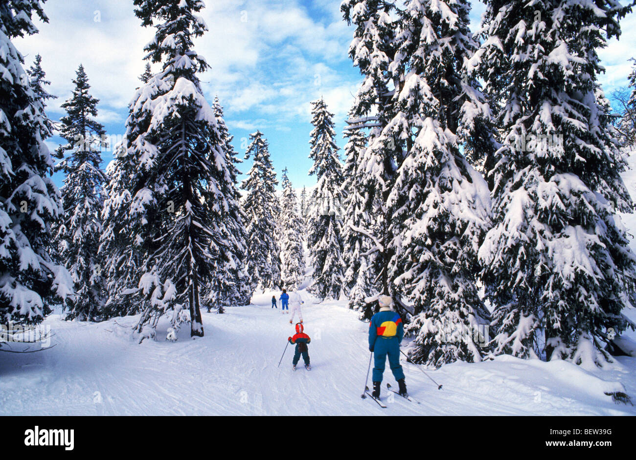 Dans la neige ski laden tress à Sälen l'un des meilleures stations de ski Banque D'Images