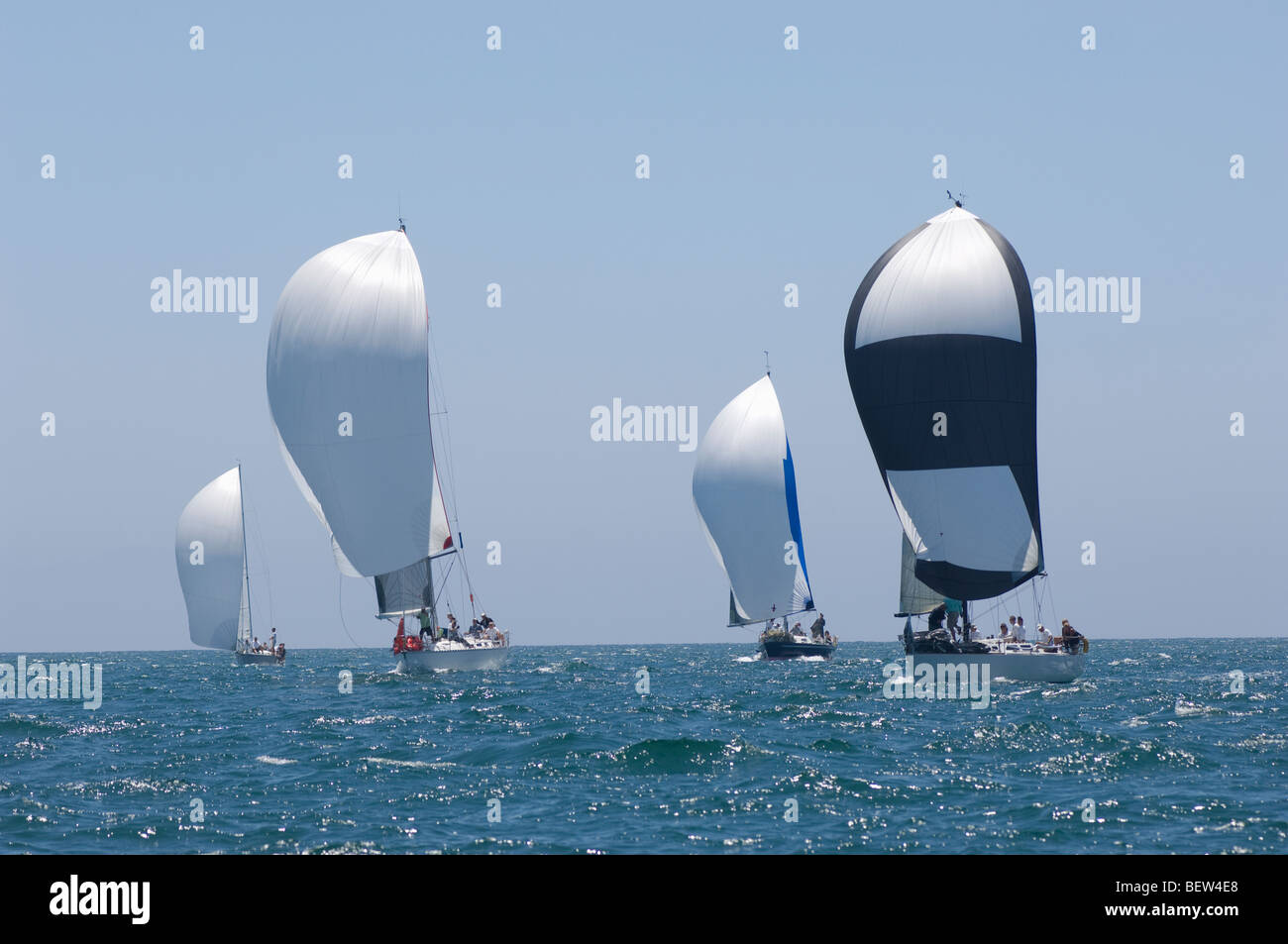 Quatre bateaux de participer à l'événement à l'équipe, en Californie Banque D'Images