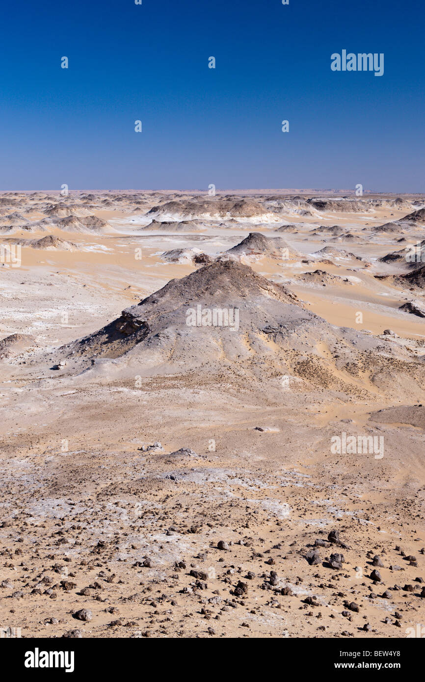 Avis de désert de Crystal Mountain, Désert de Libye, Egypte Banque D'Images