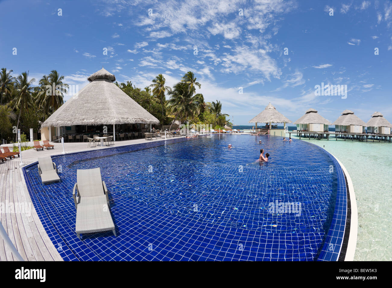 Bassin de l'Île Maldives Ellaidhoo, North Ari Atoll, Maldives Banque D'Images