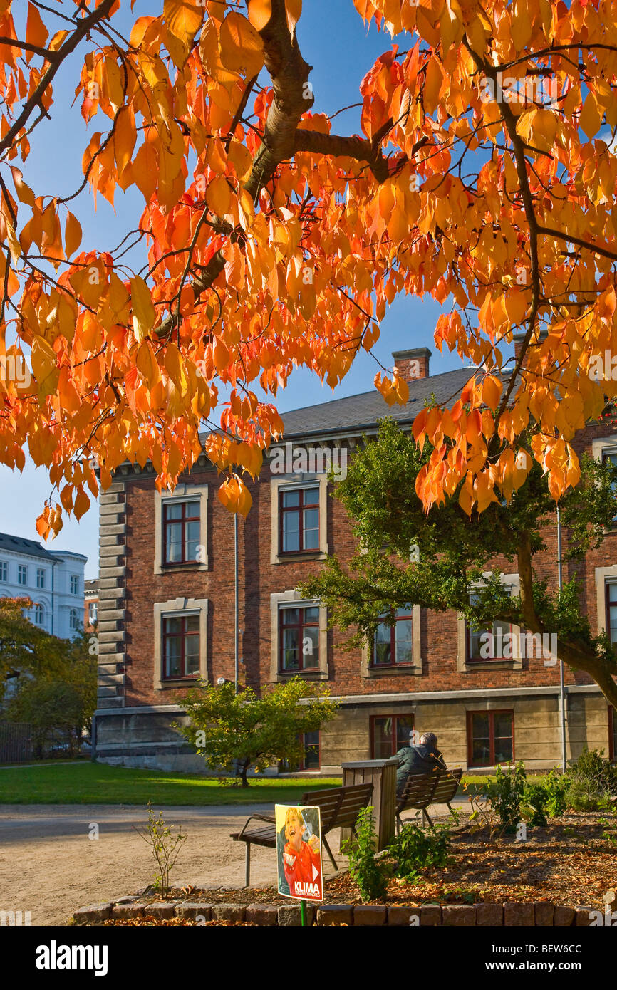 Musée botanique Jardin Botanique à Copenhague Banque D'Images