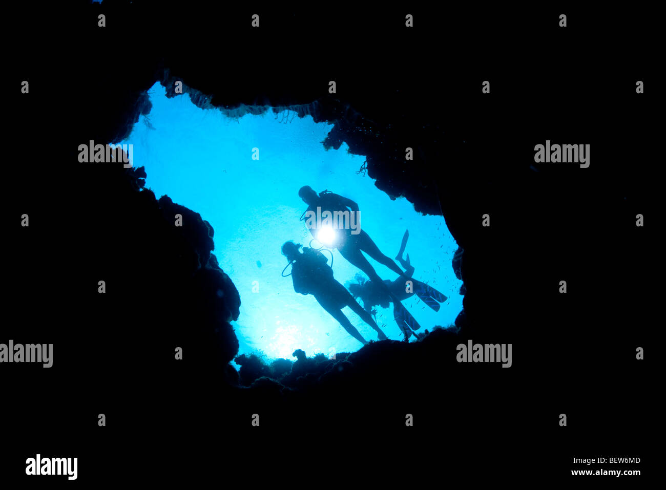 Silhouettes Diver Banque D'Images