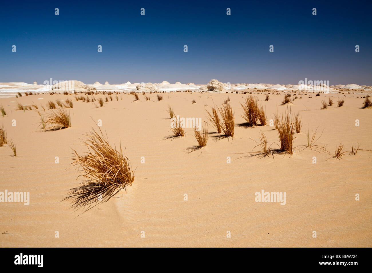 Paysage du Parc National du Désert Blanc, Désert de Libye, Egypte Banque D'Images