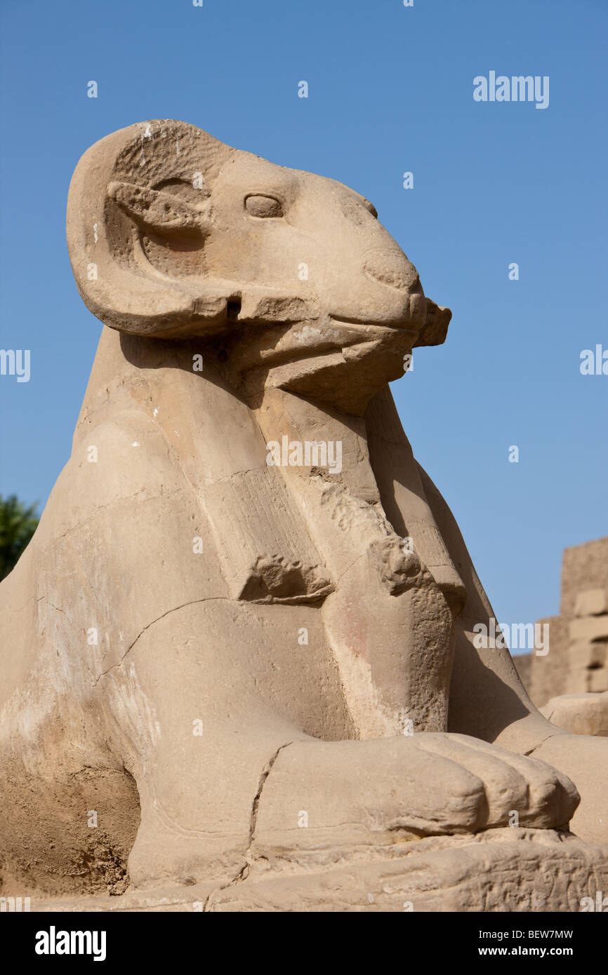 Rangée de sphinx à tête de bélier à Karnak Temple, Luxor, Egypt Banque D'Images