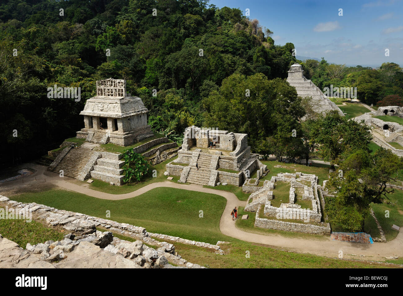 Vue de le Temple du Soleil sur le site Maya de Palenque ruine, Chiapas, Mexique, elevated view Banque D'Images