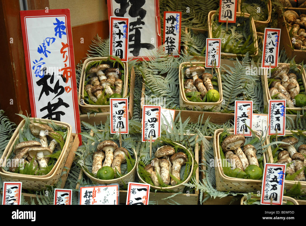 Chers champignons sur un étal à Kyoto au Japon Banque D'Images