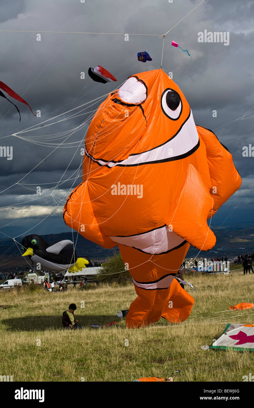 Sur le plateau de Gergovie, un enfant avec un cerf-volant en forme de poisson clown (France). Enfant avec un cerf-volant en forme de poisson clown. Banque D'Images