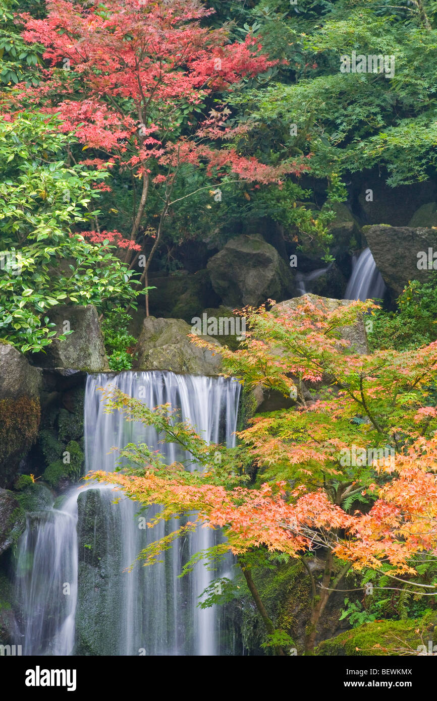 Chute dans un jardin, le jardin japonais de Portland, Portland, Oregon, USA Banque D'Images
