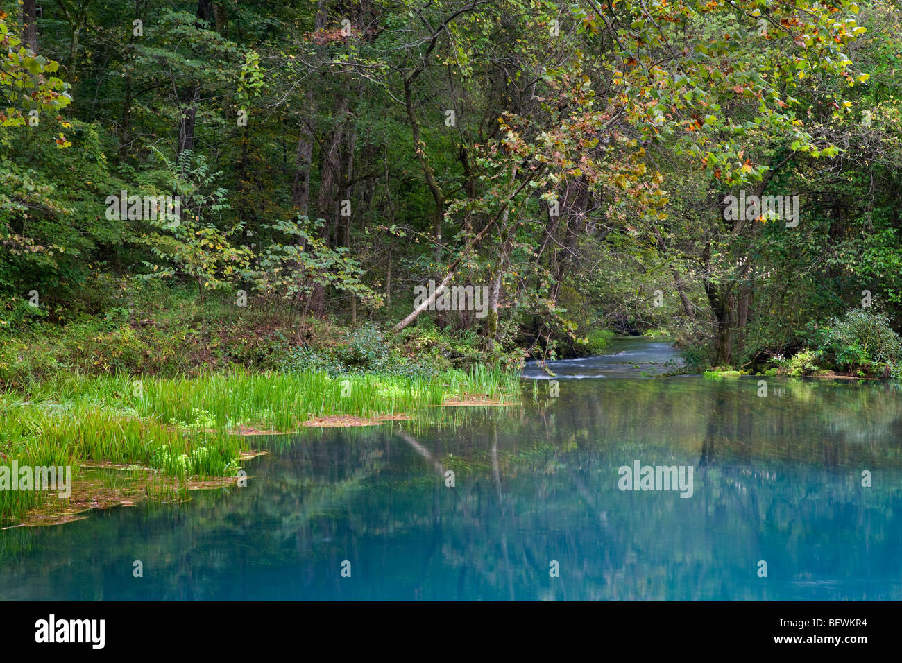 Alley Spring, Ozark National Scenic Riverways, Missouri Banque D'Images