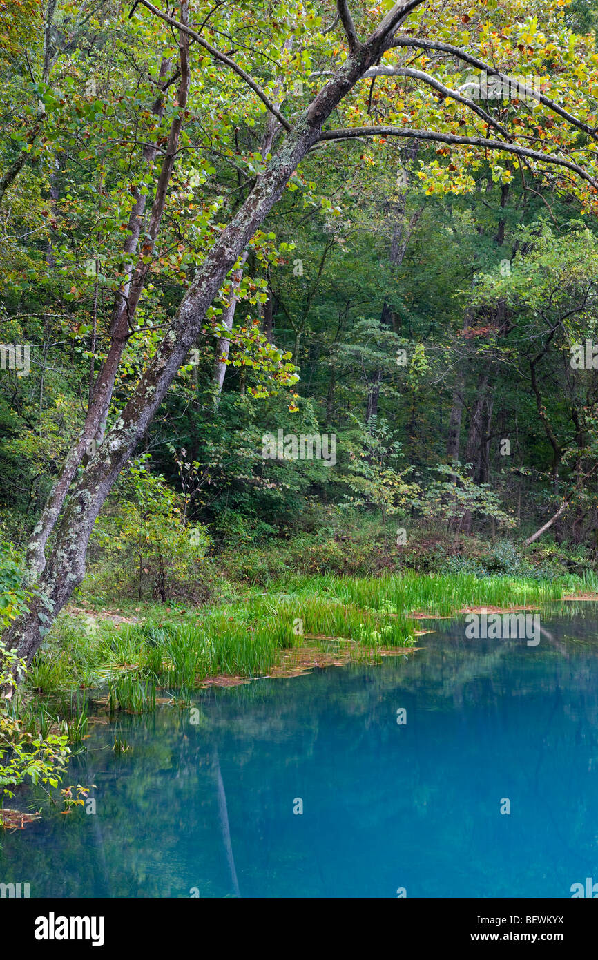 Alley Spring, Ozark National Scenic Riverways, Missouri Banque D'Images
