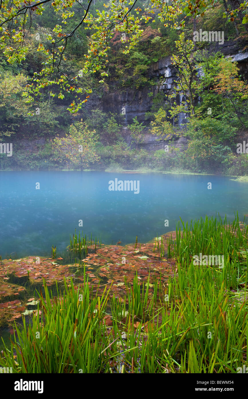 Alley Spring, Ozark National Scenic Riverways, Missouri Banque D'Images