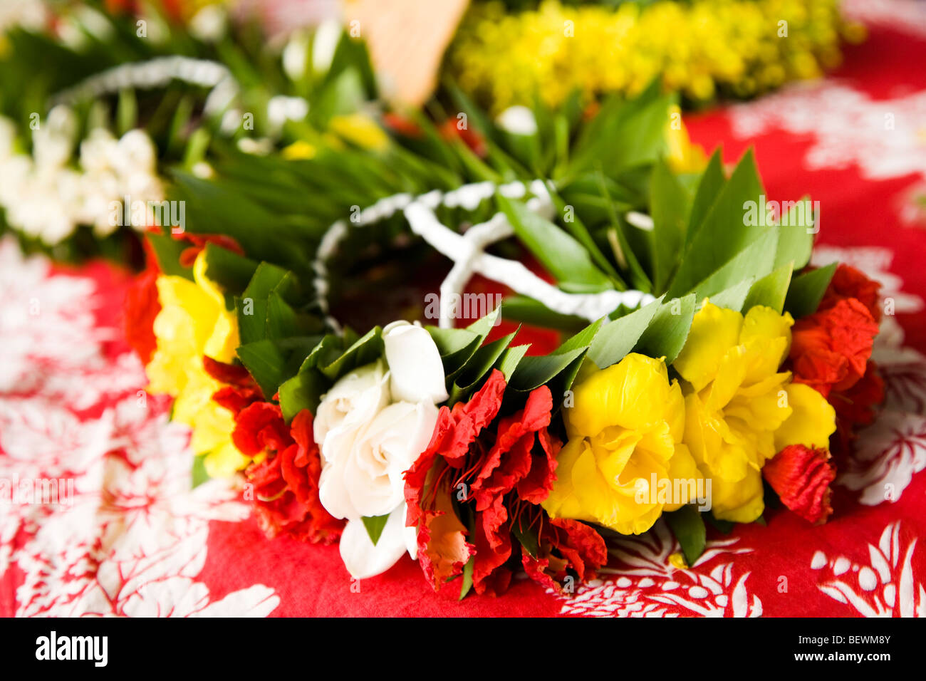 Fleurs Papeete Tahiti Banque De Photographies Et D images Haute fleurs-papeete-tahiti-banque-de-photographies-et-d-images-haute