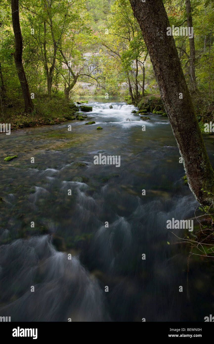 Alley Spring, Ozark National Scenic Riverways, Missouri Banque D'Images
