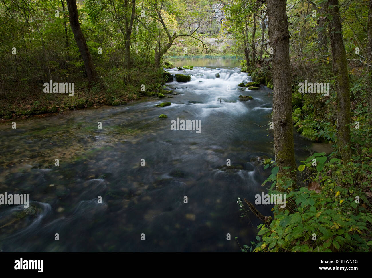 Alley Spring, Ozark National Scenic Riverways, Missouri Banque D'Images