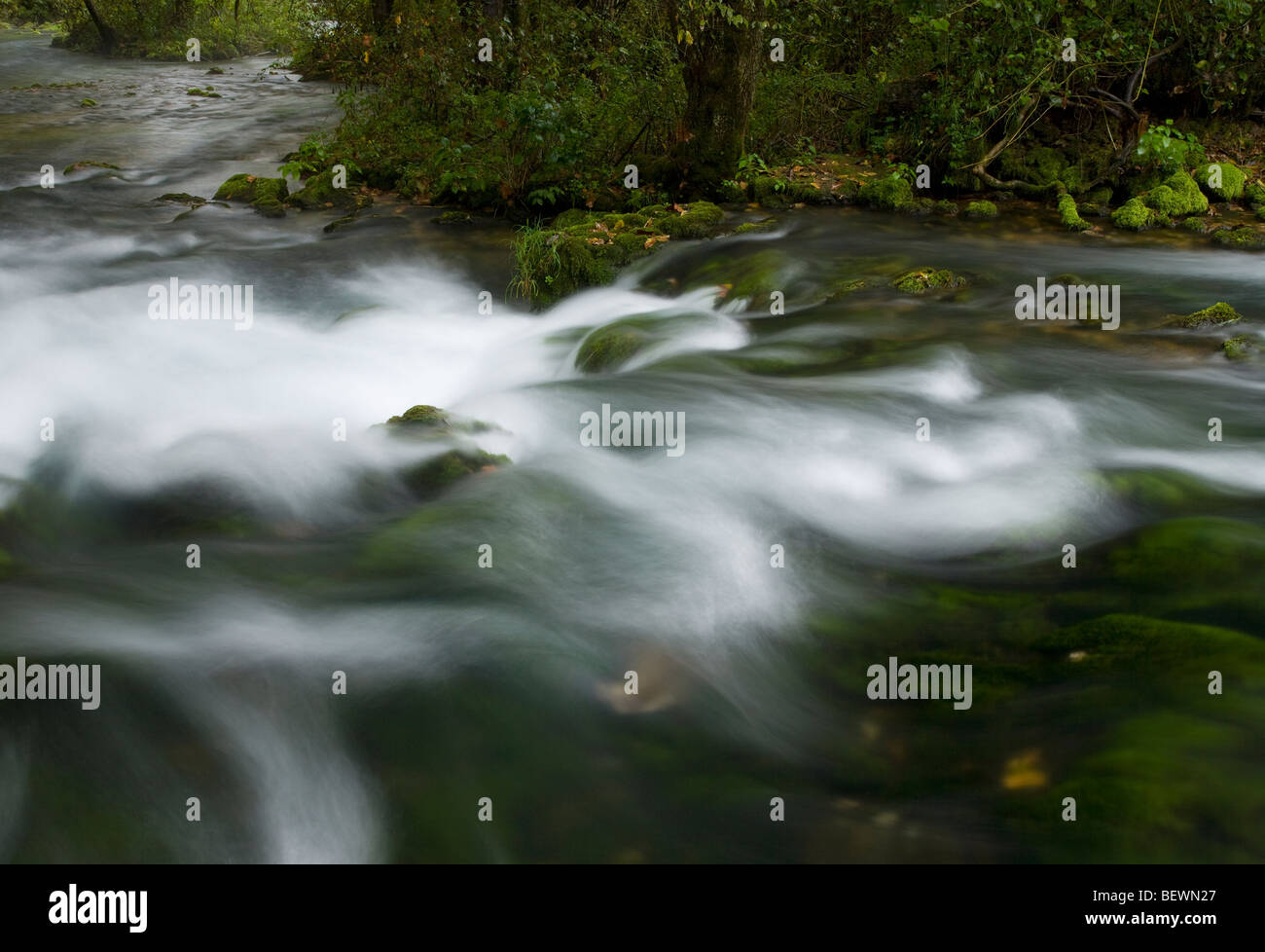 Alley Spring, Ozark National Scenic Riverways, Missouri Banque D'Images