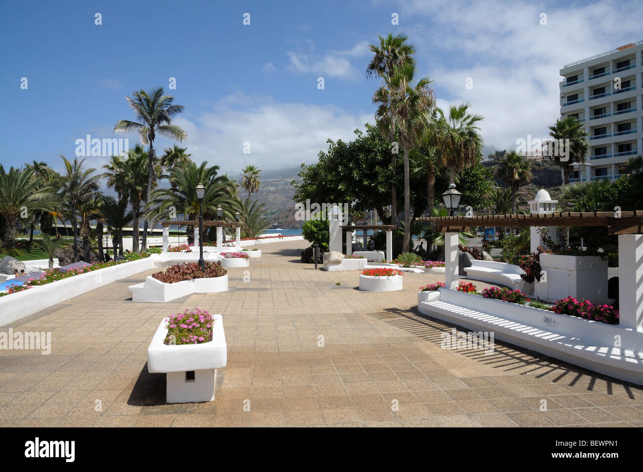 Puerto de la Cruz, promenade. Île des Canaries Tenerife, Espagne Banque D'Images