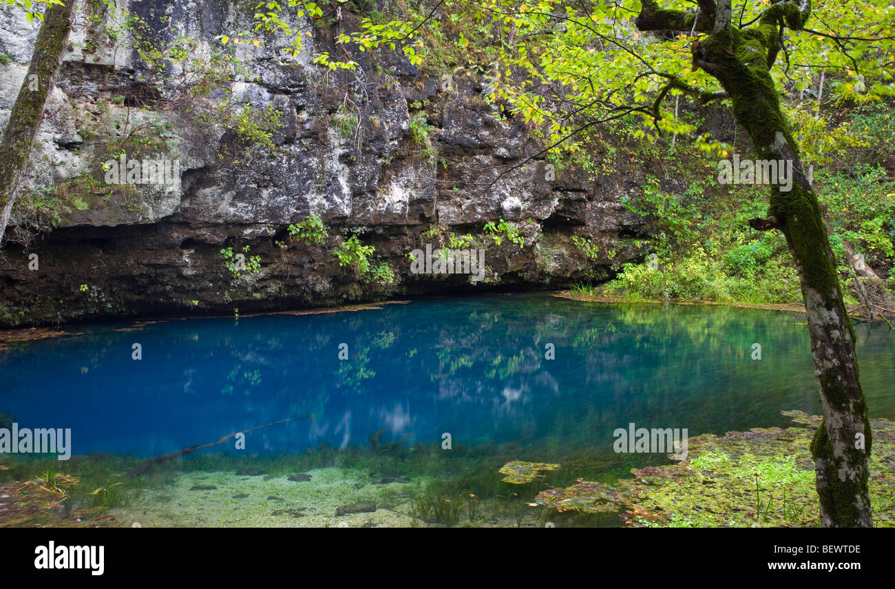 Blue Spring (sur la rivière), Blue Spring Natural Area, Ozark National Scenic Riverways, Missouri Banque D'Images