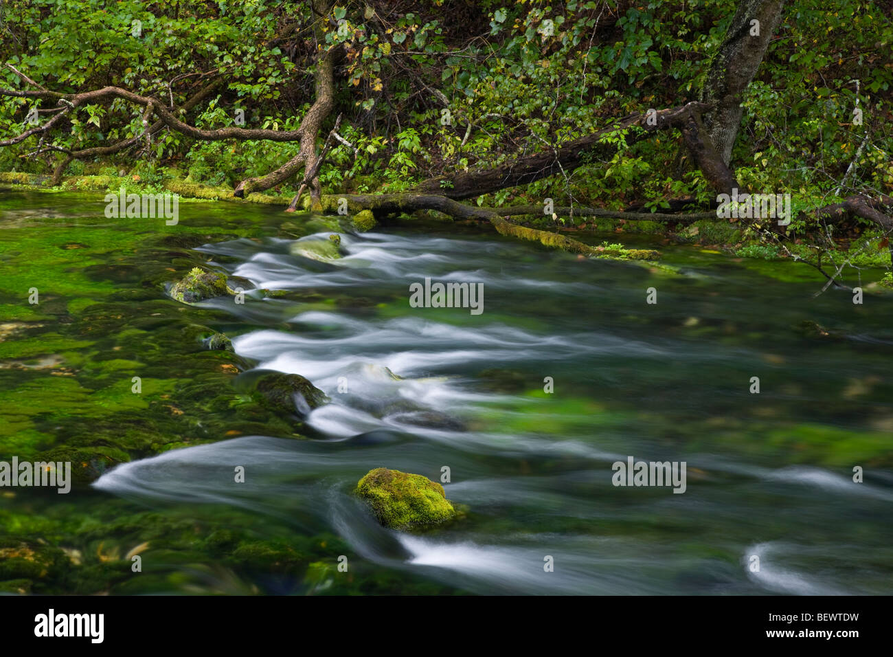 Blue Spring (sur la rivière), Blue Spring Natural Area, Ozark National Scenic Riverways, Missouri Banque D'Images