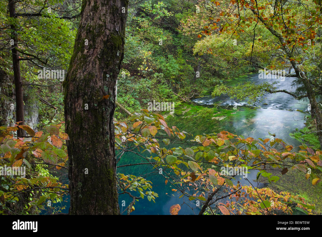 Blue Spring (sur la rivière), Blue Spring Natural Area, Ozark National Scenic Riverways, Missouri Banque D'Images